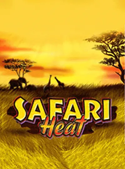 সাফারি উত্তাপ